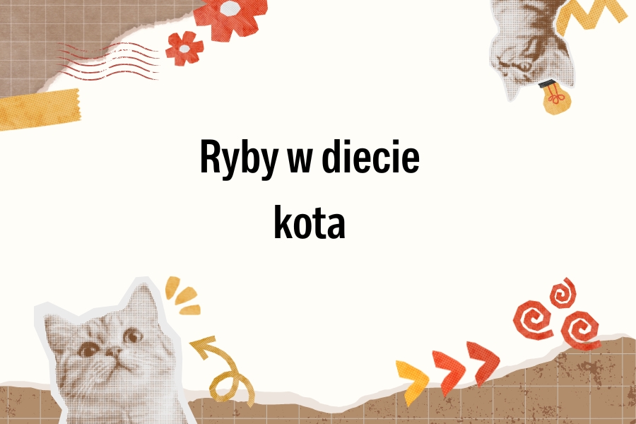 Czy kot może jeść ryby?