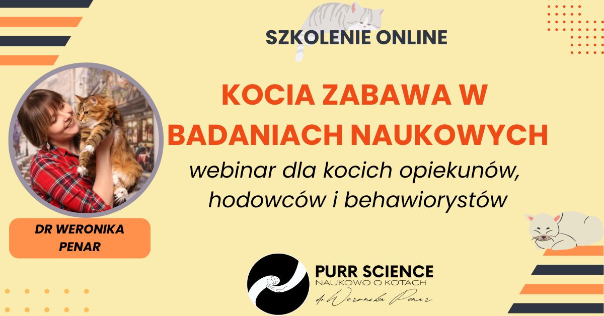 Kocia zabawa w badaniach naukowych