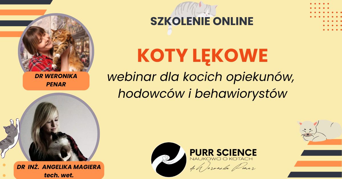 Koty lękowe